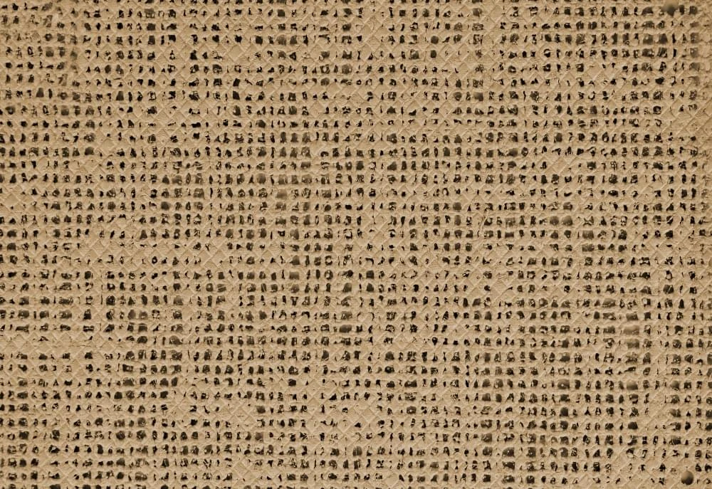 Bo-Camp Aerotex Tenttapijt 2,5 X 5 Meter Beige 2 Bo-Camp Aerotex Tenttapijt 2,5 X 5 Meter Beige - Afbeelding 2