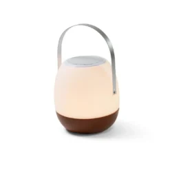 Human Comfort Cosy Lamp Pintac Wood Plus (speaker)